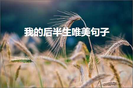 鎴戠殑鍚庡崐鐢熷敮缇庡彞瀛愶紙鏂囨94鏉★級